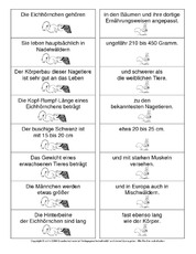 Eichhörnchen-Satzteile-verbinden-1.pdf